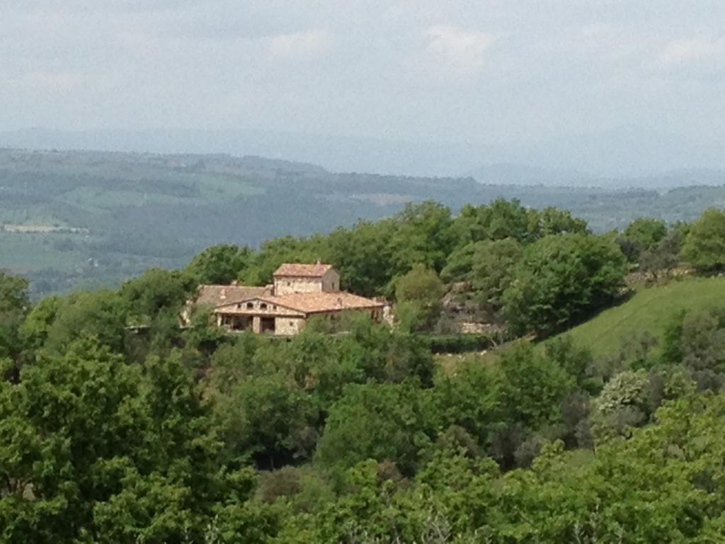 Luxury Villa Colle Dell'Asinello ,Proprietari ,Villa In Esclusiva Near Orvieto Guardea Ruang foto