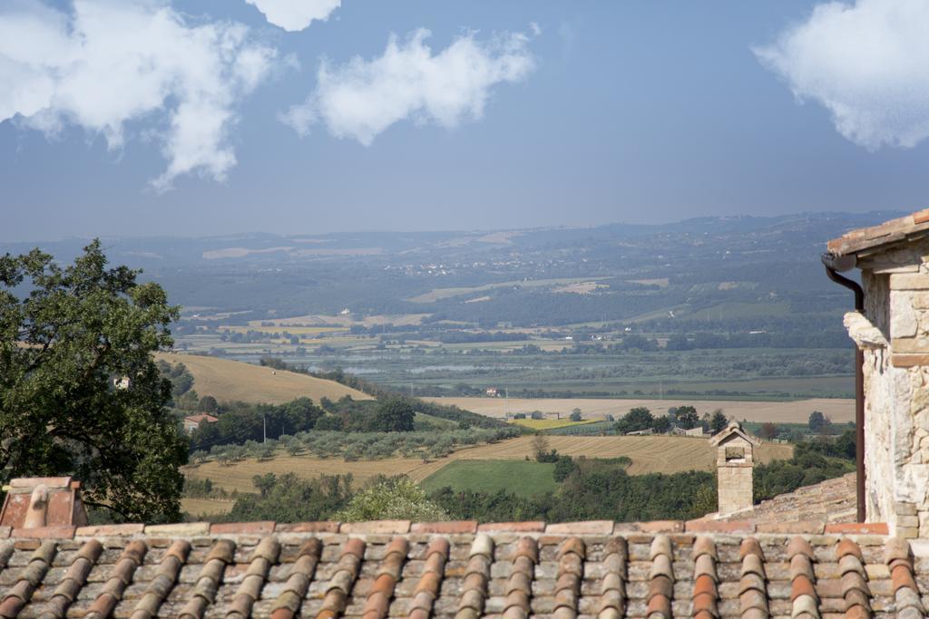 Luxury Villa Colle Dell'Asinello ,Proprietari ,Villa In Esclusiva Near Orvieto Guardea Bagian luar foto
